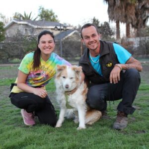 MATRÍCULA ENTRENADOR CANINO PROFESIONAL Y TÉCNICO EN MODIFICACIÓN DE CONDUCTA CHILE 2023