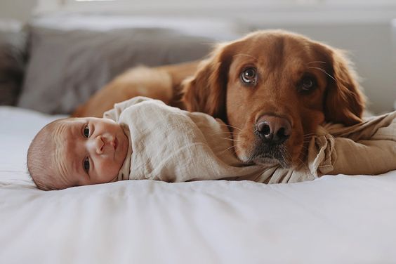 Nuevo integrante en la familia: guagua