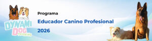 Educador Canino Profesional 2026