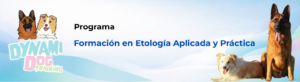 Formación en Etología Aplicada y Práctica