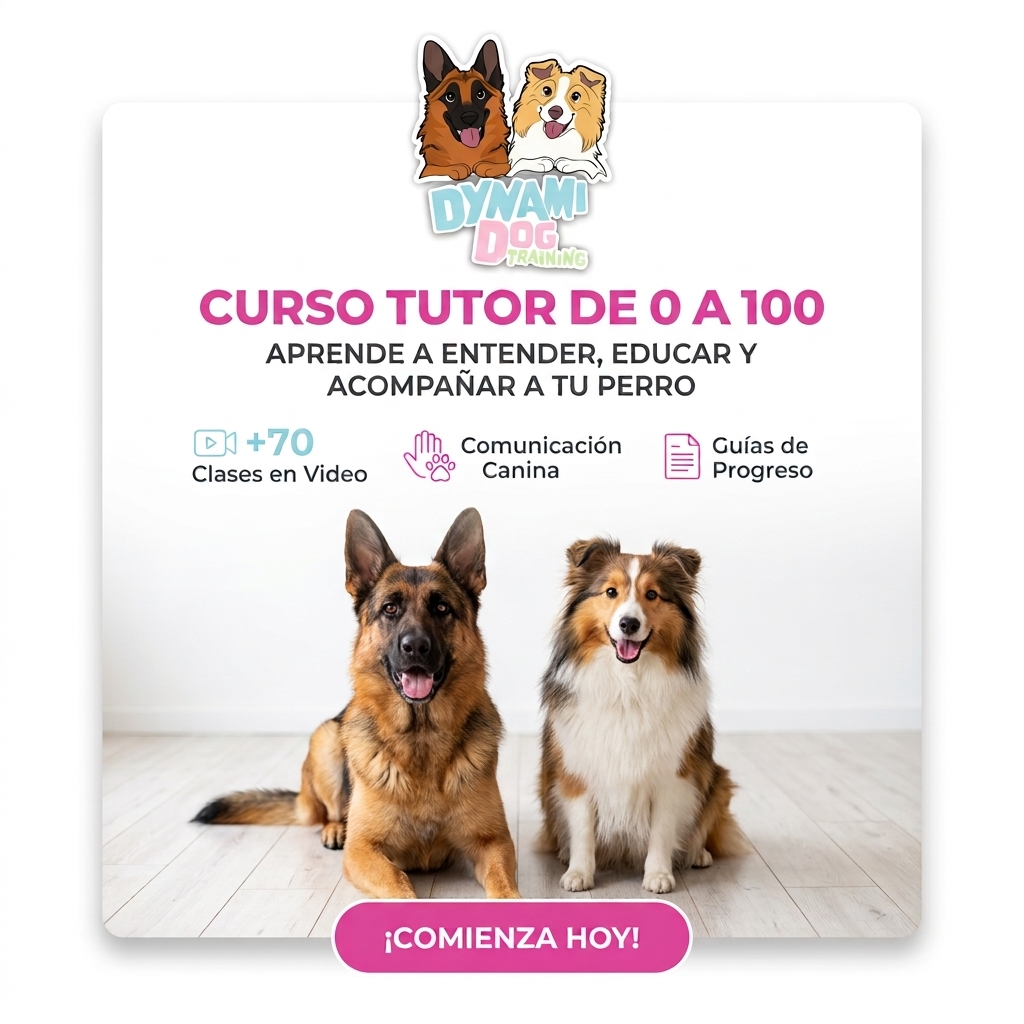 tutor0a100